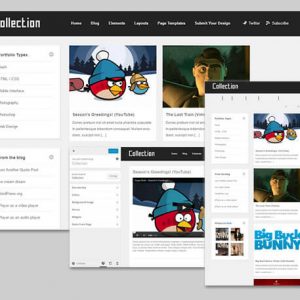 collection theme wordpress