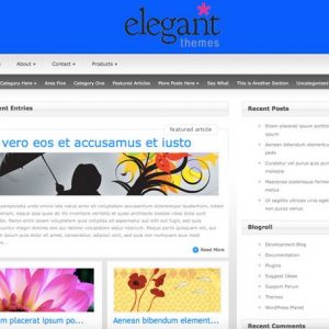 Simplism - ElegantThemes