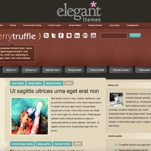 cherrytruffle - elegantthemes