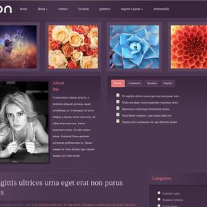 cion - ElegantThemes