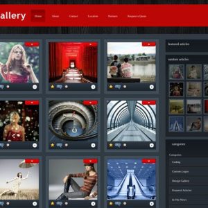 eGallery - elegantthemes