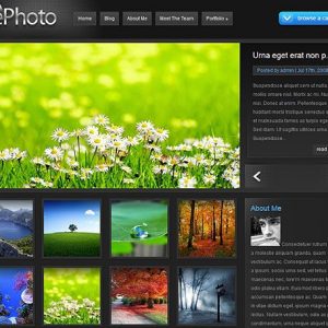 ePhoto - ElegantThemes