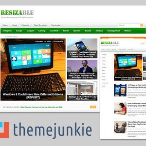 resizable - themejunkie