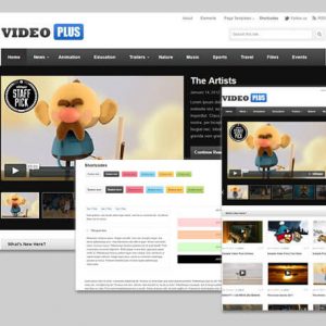 videoplus theme wordpress