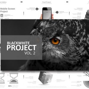 Black White Project Vol. 2 Powerpoint