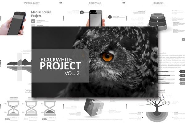 Black White Project Vol. 2 Powerpoint