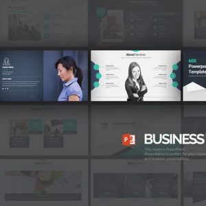 Business Mix Powerpoint Presentation