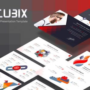 Cubix Professional Presentation