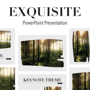 Exquisite Powerpoint Template