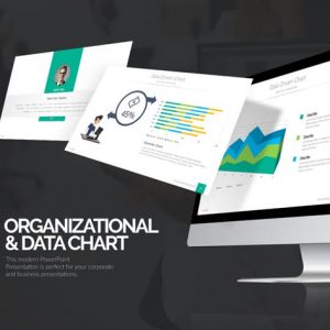 Organizational & Data Chart Presentation