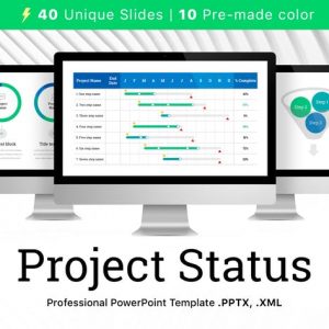 Project Status