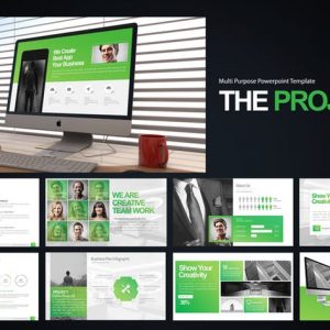 The Project Powerpoint Presentation