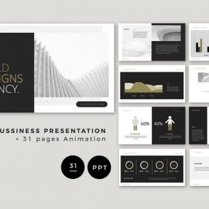 Clean Bussiness Presentation