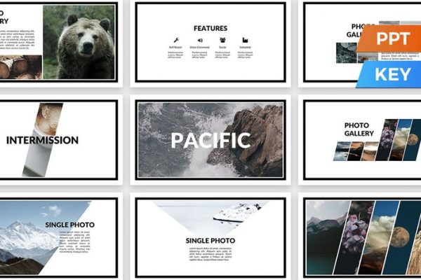 Pacific Presentation Template