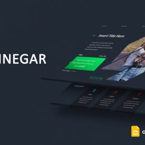 Vinnegar - Google Slides Template